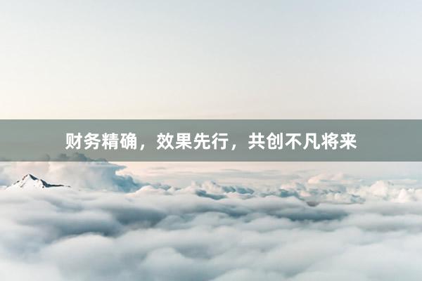 财务精确，效果先行，共创不凡将来