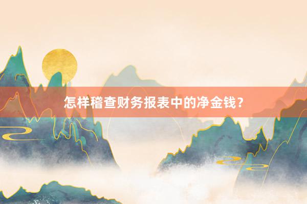 怎样稽查财务报表中的净金钱？